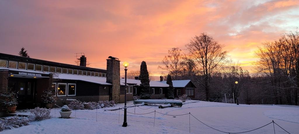 A Culinary Journey: Exploring the Authentic Flavors at Nature Shelter Hotel’s Restaurant